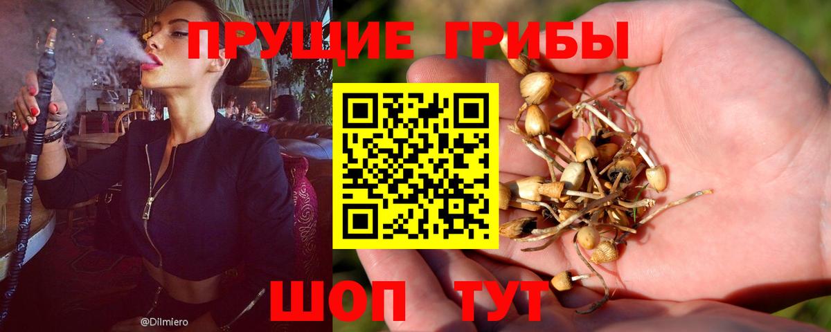 Галлюциногенные грибы мицелий  что такое   Ангарск  Вход с VPN 
